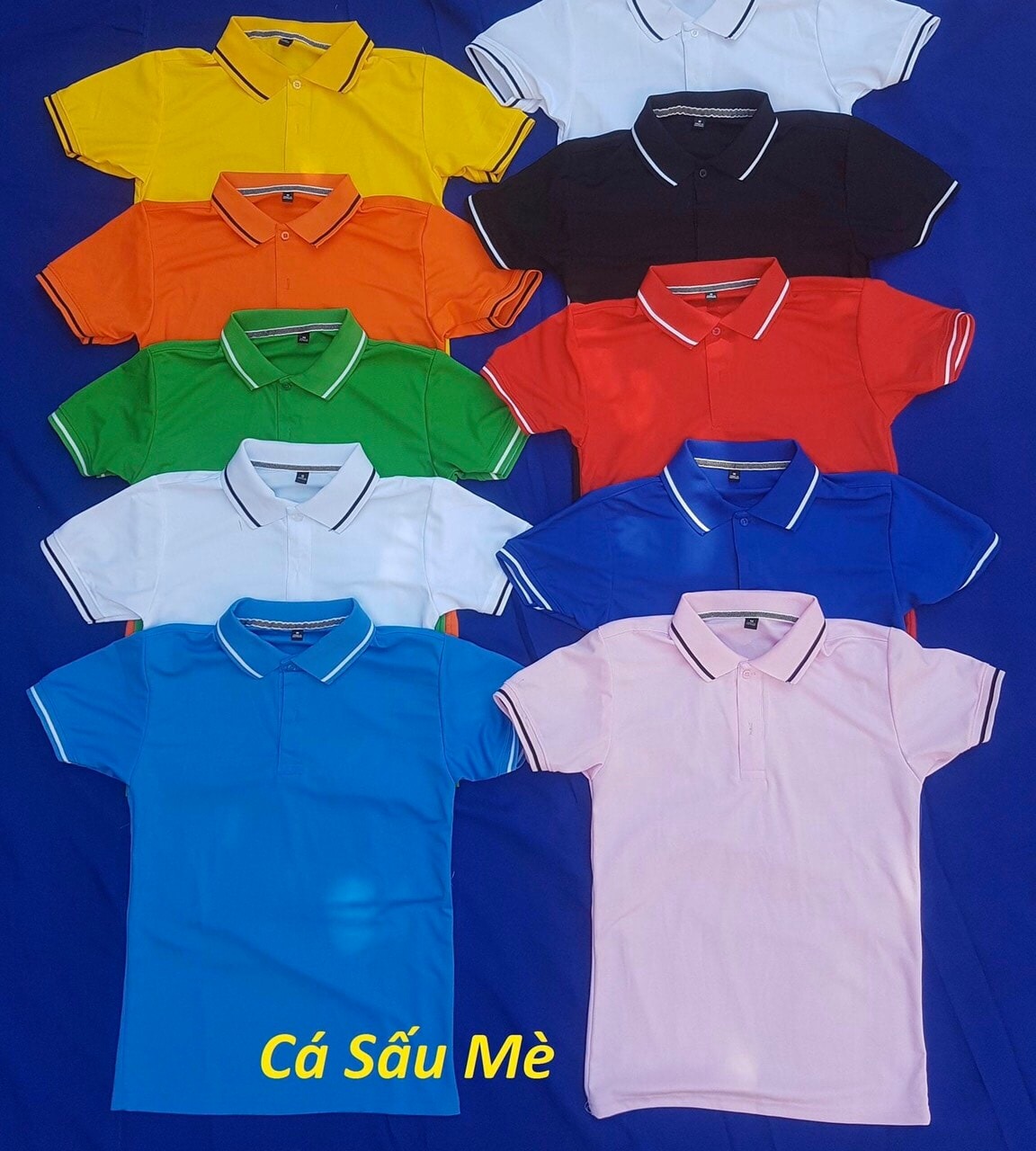Hình ảnh đồng mục áo màu sắc đa dạng