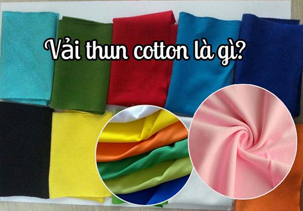 Vải Cotton là gì Ưu nhược  cách nhận biết  Áo Thun Sài Gòn